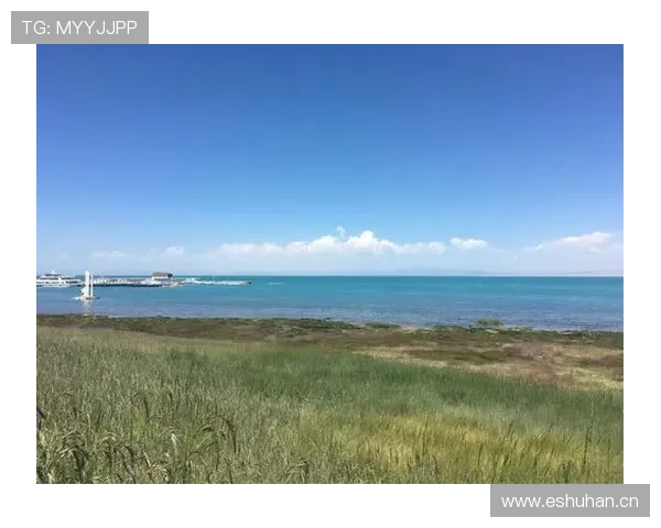 《探秘体育精神与竞技魅力:全球顶级运动员背后的故事与奋斗历程》 - 副本 - 副本 (2)